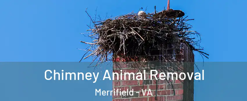  Chimney Animal Removal Merrifield - VA