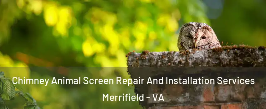  Chimney Animal Screen Repair And Installation Services Merrifield - VA
