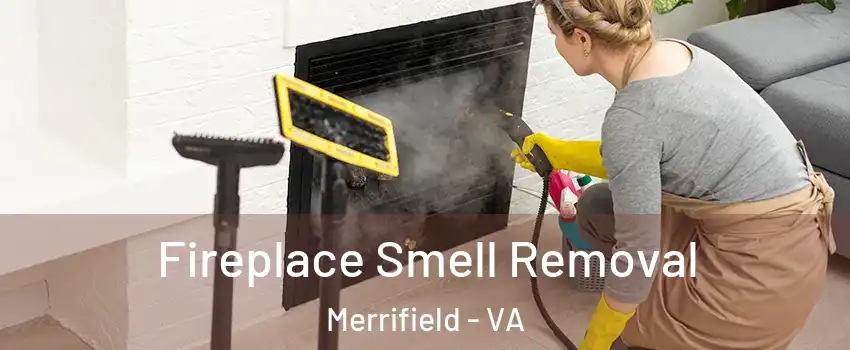  Fireplace Smell Removal Merrifield - VA