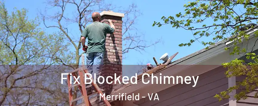  Fix Blocked Chimney Merrifield - VA