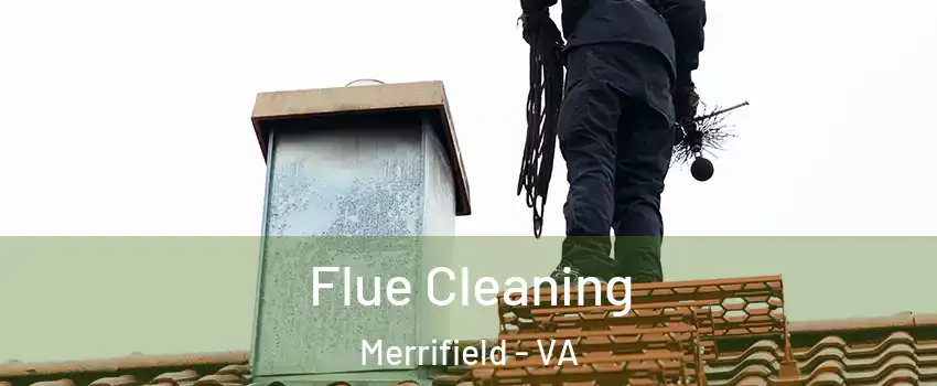  Flue Cleaning Merrifield - VA