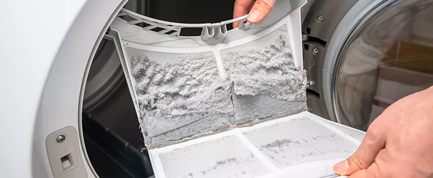 Best Dryer Lint Removal Company in Merrifield, Virginia