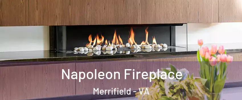  Napoleon Fireplace Merrifield - VA