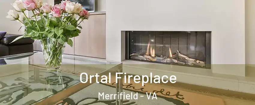  Ortal Fireplace Merrifield - VA